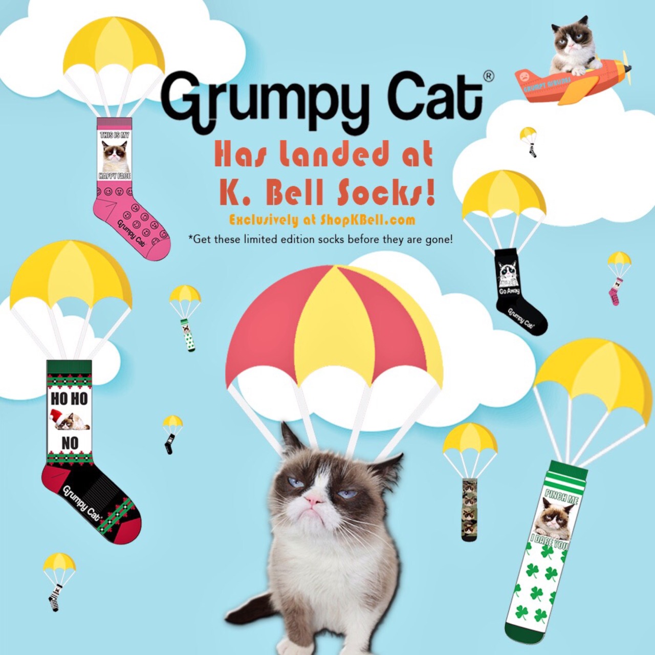 Get exclusive Grumpy Cat socks now from K. Bell Socks! They're terrible.  https://grumpy.cat/kbellsocks