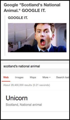 itsstuckyinmyhead:  Scottish Tumbr Photoset #9 More? British Tumblr photoset #8 Canadian Tumblr Photoset #10 