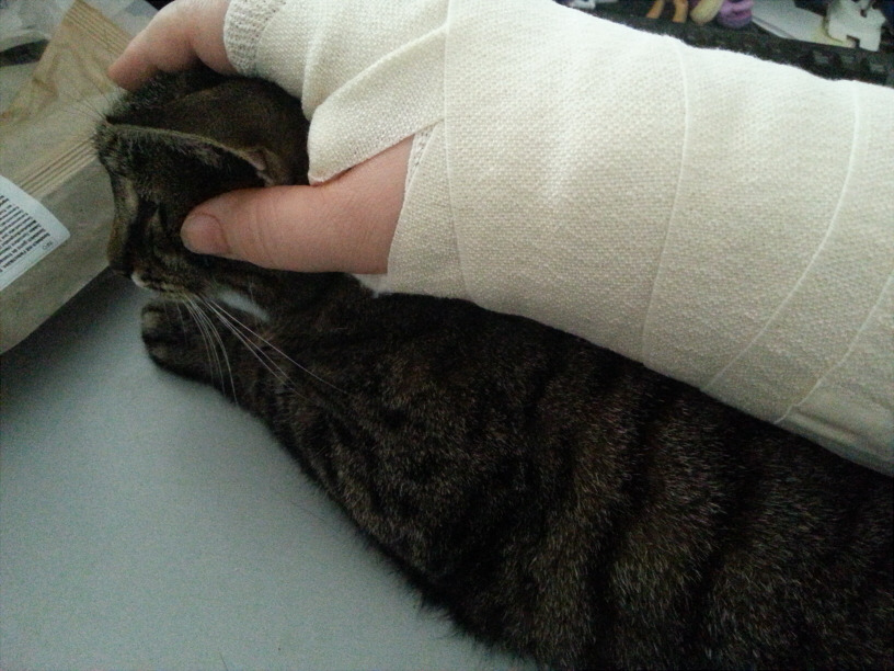 My cat is best wrist-pillow. Sadly had to replace her with my AJ plushie now. :(