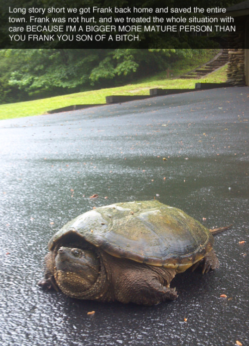 tastefullyoffensive:  Meet Frank. (photos by OhSweetFancy)