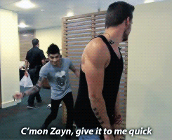 gay4zayn:  1D Day Footage 