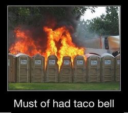 nohtyhumor:  taco bell