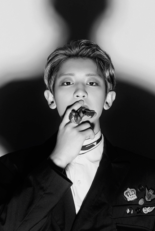 Sex dazzlingkai:  chanyeol x don’t mess up pictures