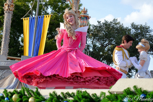 disney-facecharacters:Dream Along With Mickey by disneylori on Flickr.bibb