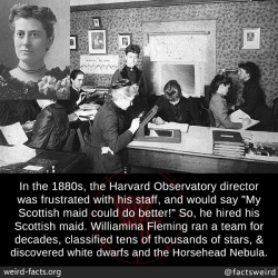 mindblowingfactz:  In the 1880s, the Harvard