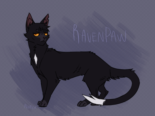 rexpaw:My Ravenpaw design! I wish the Erins gave him a warrior name. :c ( Kudos to whoever can guess