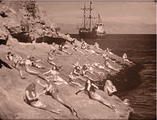 novocainelipstick:  gameraboy:  &ldquo;I seek the crocodile&quot;  Peter