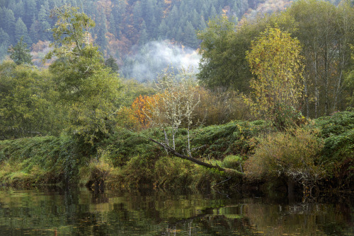 russell-tomlin:Siuslaw River at Mapleton