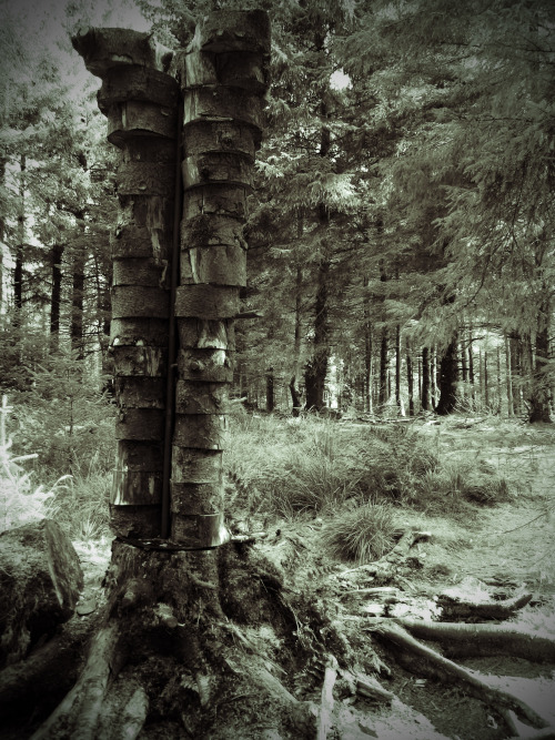Further Images from Pendle Sculpture Trail in Pendle Wood, near Pendle Hill. The pieces are inspired