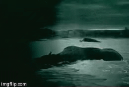 sixpenceee:  cunt0logist:  sixpenceee:  The Ring: Cursed Video Tape According to