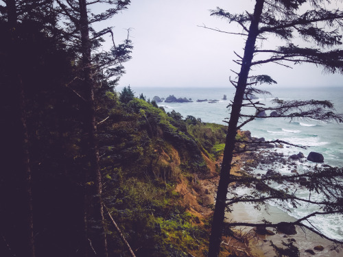 leahberman: Oceans apart, waves are running in Ecola State Park, Oregon instagram