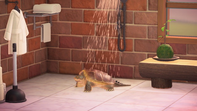pretzelcoatll:Only the best for my pet Turtle Stuart