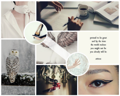 daemon moodboard for @wildravenfeathers: snowy owl» Snowy owlSnowy owl souls are characterized by in