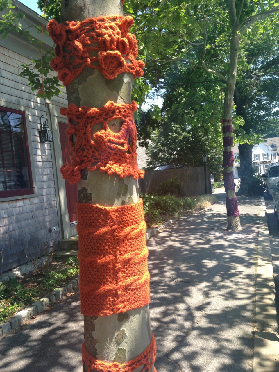 Trees were cozy today on Depot Ave. in Falmouth.
Psst! Mystery knitters, who are you?!