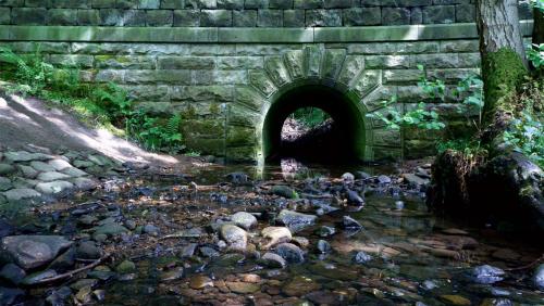 A Bridge in the Woods.