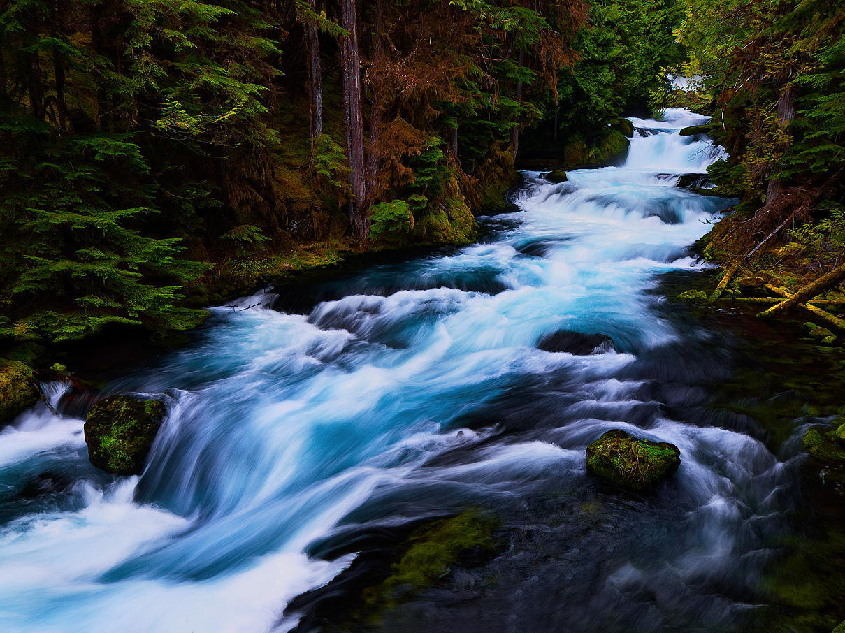 A Nature Blog