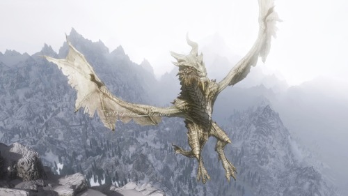 dragonborn-adventures:  Alduin and Paarthurnax 