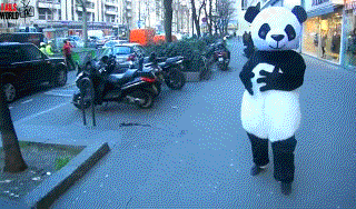 failsnet:  Tumblr Fails.net - Force of the Panda
