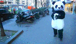 Failsnet:  Tumblr Fails.net - Force Of The Panda