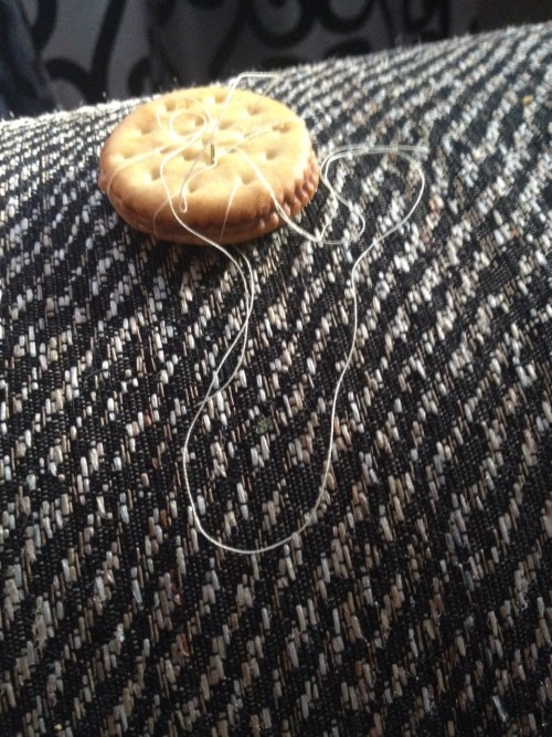 queenofhetalia: I didn’t wanna do my geo hw so I stitched this cracker to the arm of the couch