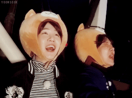 yoonseok:  “two puppies who had no courage“