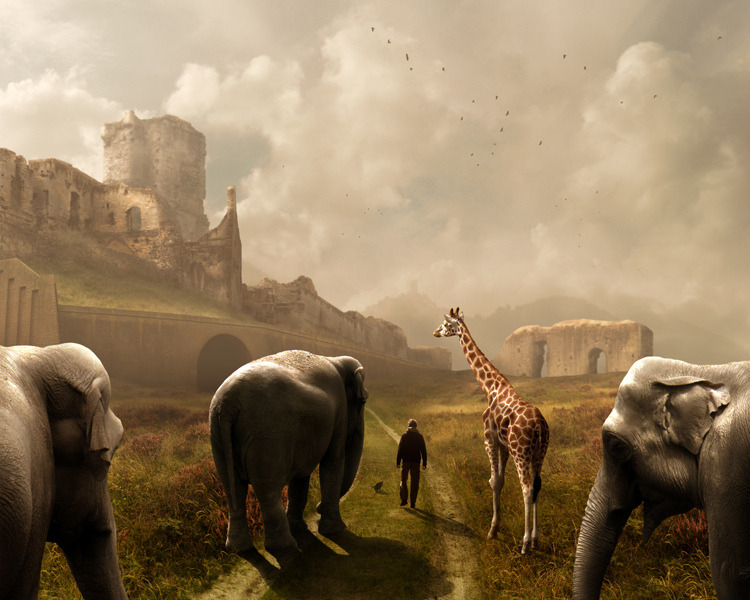 artchipel:  Mattijn Franssen (Netherlands) Mattijn Franssen is a self-taught photomontage