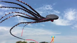 fuckyeahfluiddynamics:A recent viral video features mesmerizing footage of a giant octopus kite flow