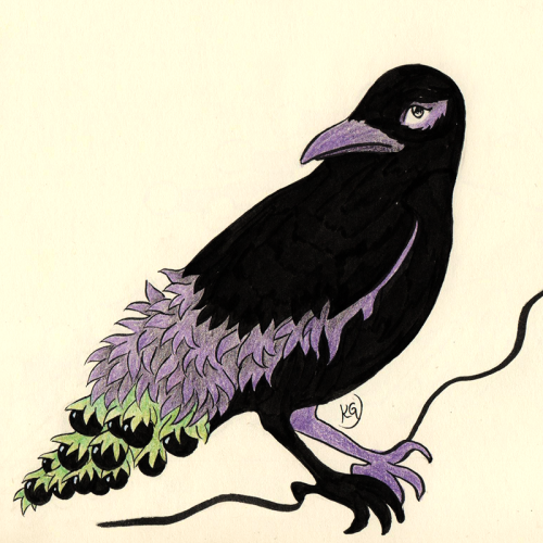 Inktober Botanimals Day 26 - Deadly Nightshade x Raven.