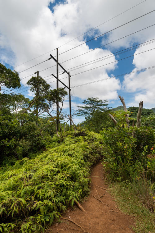 Maunawili, HIurban dreamscapes photography