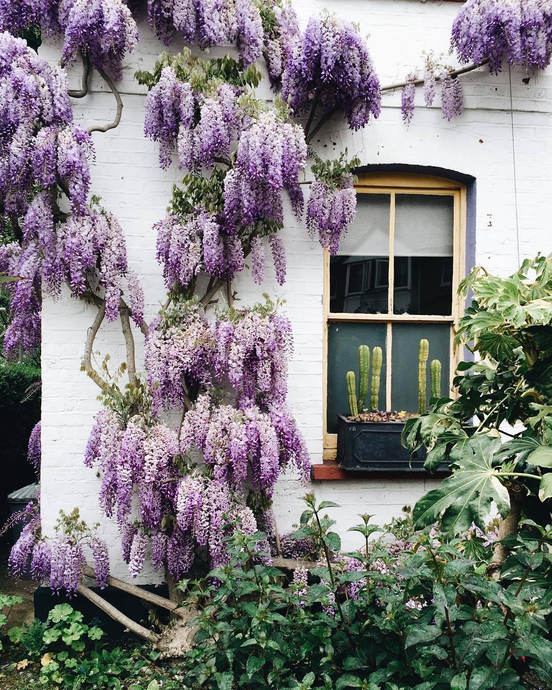 ❀ no rain, no flowers ❀
