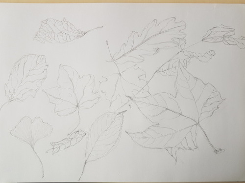 Btw this is the sketch for the inktober drawing. I felt quite confident drawing leaves. It’s a