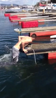 braverytattoos:  Liam diving and being sexy 