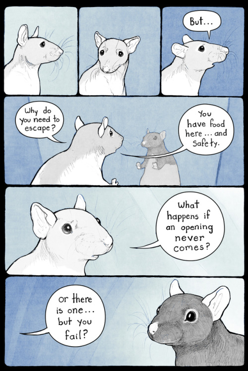 going&ndash;nowhere-fast: pengosolvent: Edit: the title for this comic is “Puzzle Rat&rdqu