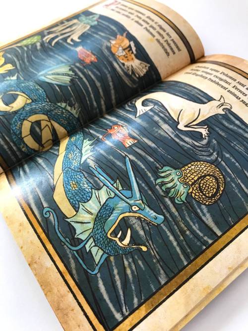 retrogamingblog2: Artist DobieDraws created a Pokemon manual illustrated in medieval art style