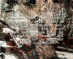 witchofthekorcari:Middle-Earth history meme » ½ Battles - Kinslaying at Alqualondë