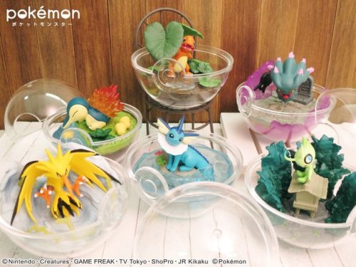 Close up Image from the Pokémon Terrarium Collection Series 4 by RE-MENT now available at Japan. 