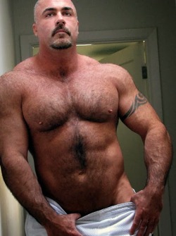 unitedbears:  FOLLOW: UNITED BEARSBEARS |