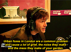 dangerhamster:  tentooed:  David Tennant talks about peeing in his garden to scare foxes  Your what David…? 