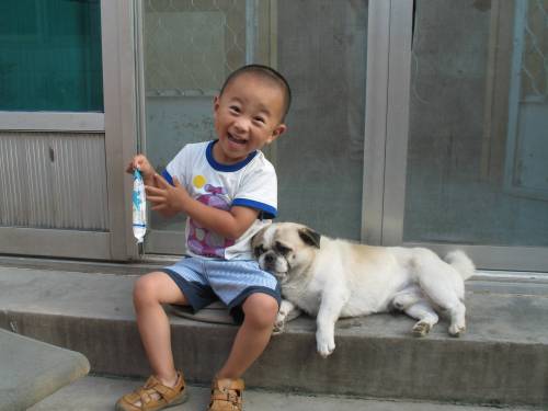 awwww-cute:My brother’s the only one who can get along with my grandparent’s grumpy dog