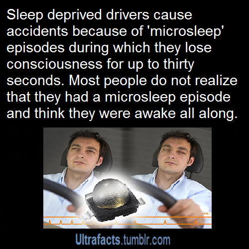 ultrafacts:  (Fact Source) Follow Ultrafacts for more facts
