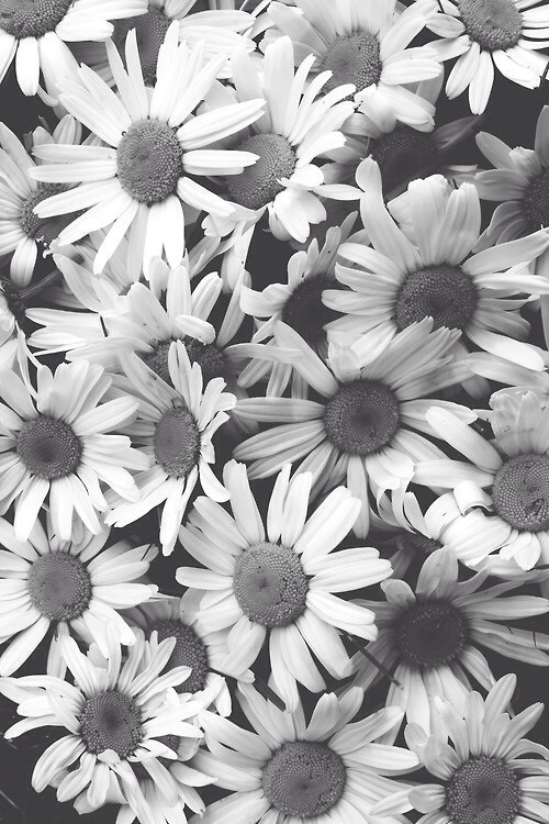 johannajuliet.tumblr.com/post/94925261776/