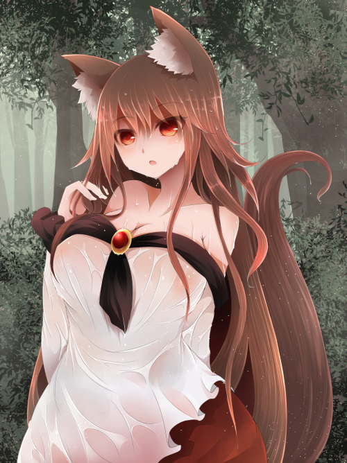 Sexy catgirls and stuff