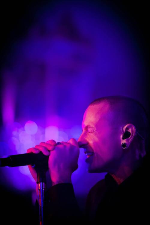 Stone Temple Pilots with Chester Bennington “Stars of The Season”16 pictures of Stone Temple Pilot