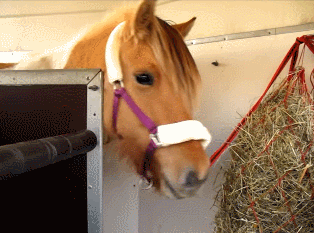 clickerpunk:  She’s pretty damn cute.  