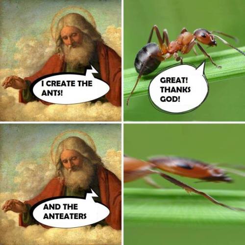 biggay-hatemachine:i found an ecology meme page on facebook so here are some highlights