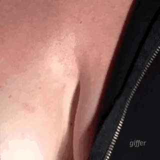 Slow Reveal Reblog And Let Your Followers See. 