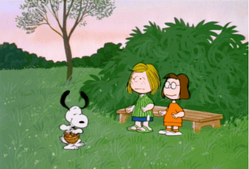 tumblr_ooe3bbA6mZ1vcaitdo2_500.gifv