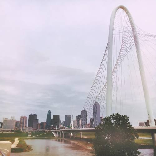 <p>Here’s that beautiful bridge I mentioned earlier. My mom and I have been lucky enough to see #calatrava bridges and buildings in several countries and a few states. You can always spot them a mile away. Thanks to @mancamama for introducing so many of us to his work. It has enriched my life. #Dallas #motherdaughterroadtrip #shannonhuntgraduates  (at Margaret Hunt Hill Bridge)</p>