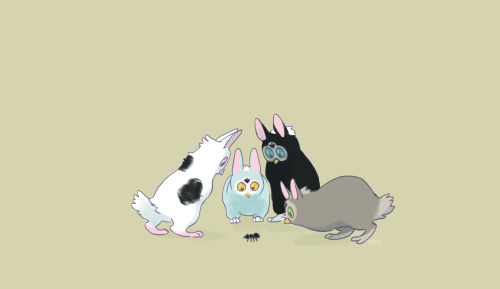 furiouskettle:  a group of furblets encounter