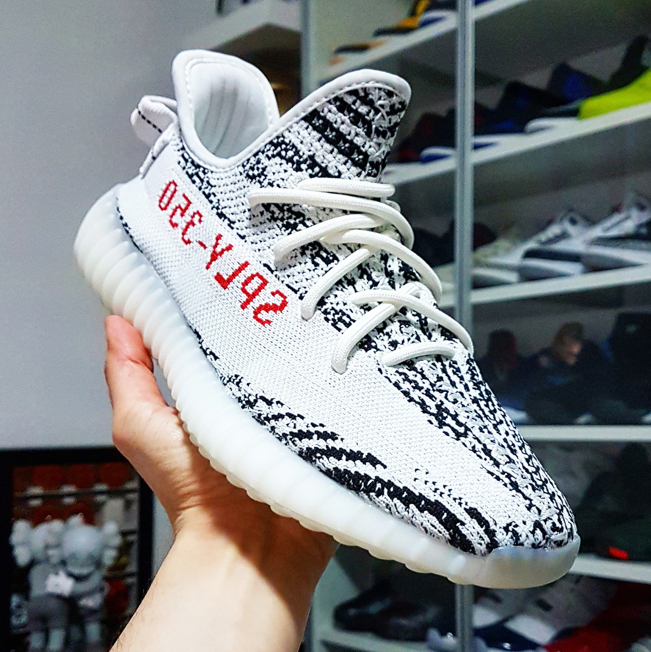 yeezy zebra tumblr